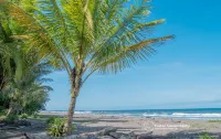 Hotel Serendipity Tortuguero Hotels in Tortuguero