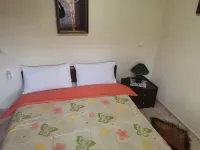 Zant House Trikala Town Hotels in Trikala