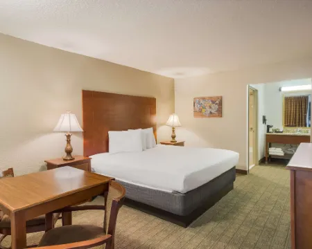 Econo Lodge Hotels in Toombs County