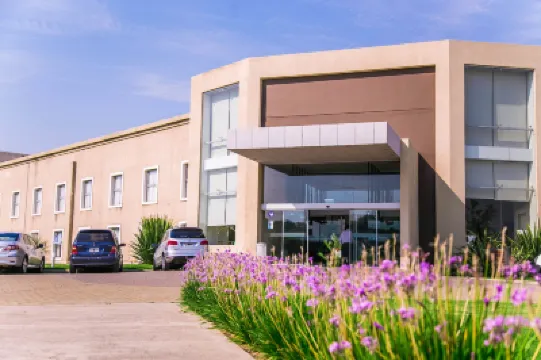 阿梅里安瑪麗亞公園飯店 住宿飯店