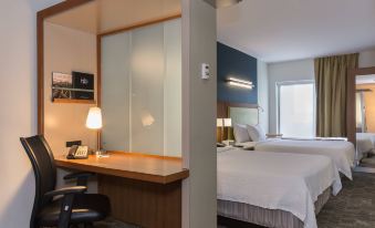 SpringHill Suites Charlotte Ballantyne