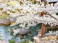 Choseikan - Hot Springs