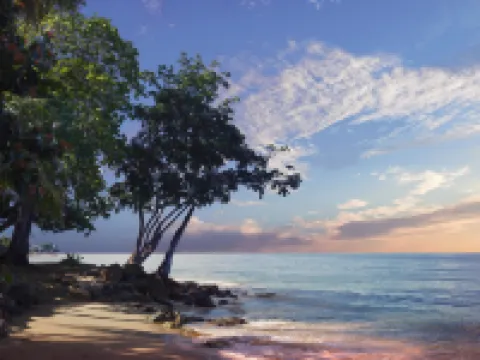 Rincon Plaza Hotel Hoteles en Rincón