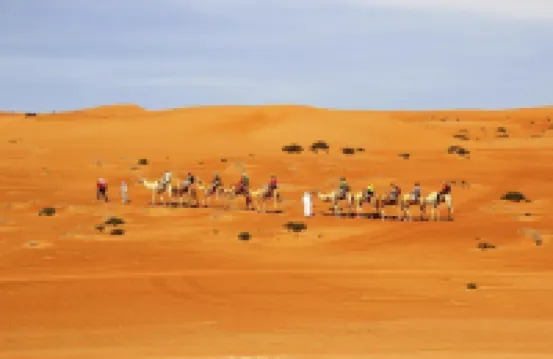 Sands Dream Tourism Camp