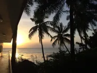 Pension les Palmiers