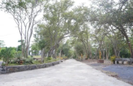 Wanghin Bungalow