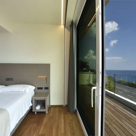 Hotel le Roi