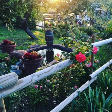 Podere Cortesi Agriturismo Molinaccio