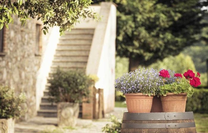 Agriturismo Pomonte
