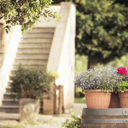 Agriturismo Pomonte