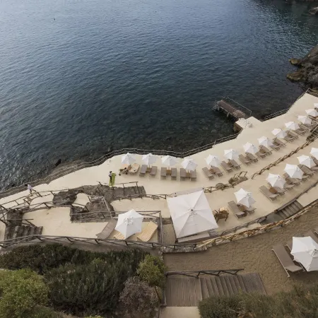 Il Pellicano