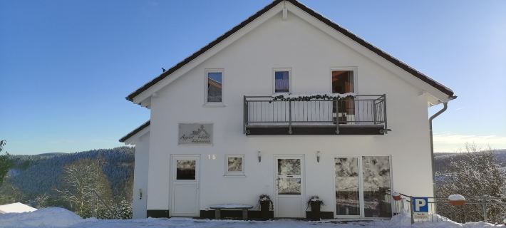 Appart-Hotel Harmonie Hotels in Winterberg