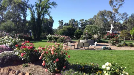 Newell Motor Inn Narrandera