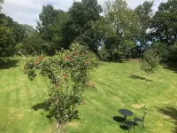 Rosebank B&B