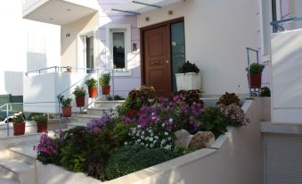 Veggie Garden Athens B&B