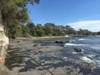 Ulladulla Harbour Motel - 3-Star