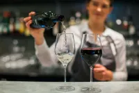 Best Western Plus Hotel Plaza - bar