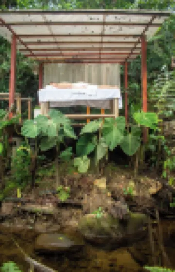 เซโดร อเมซอน ลอดจ์ โรงแรมใน