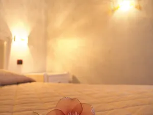 Hotel Rojan