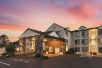 더 애슐리 인 앤드 스위트