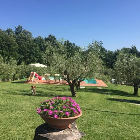 IL Poggio