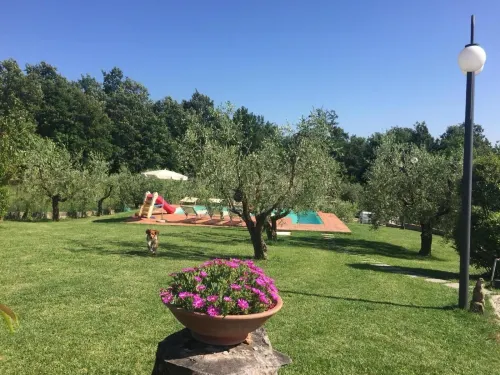 IL Poggio