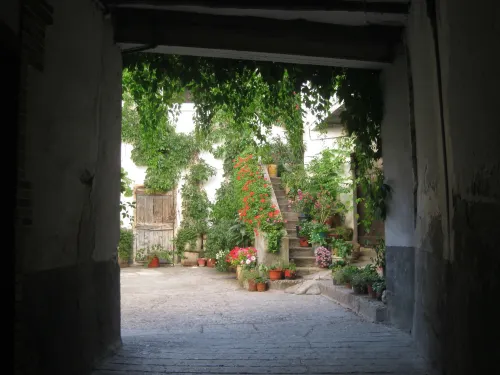 Pensión Peperillo - Homestays