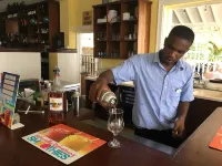 The Atlantis Historic Inn - bar