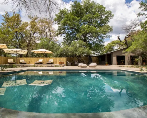 Little Africa Safari Lodge Hotels in Hoedspruit