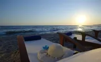 Ionian Theoxenia - Beach