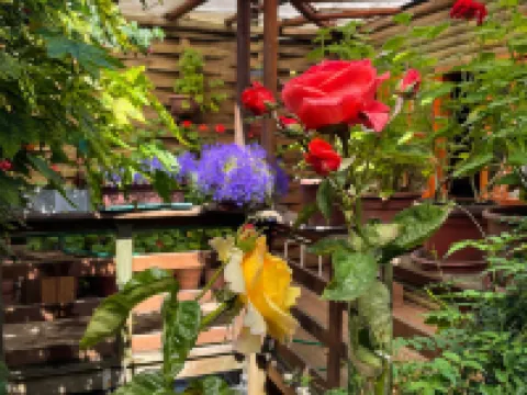 Hostal Mi Segundo Hogar Hoteles en Concepción