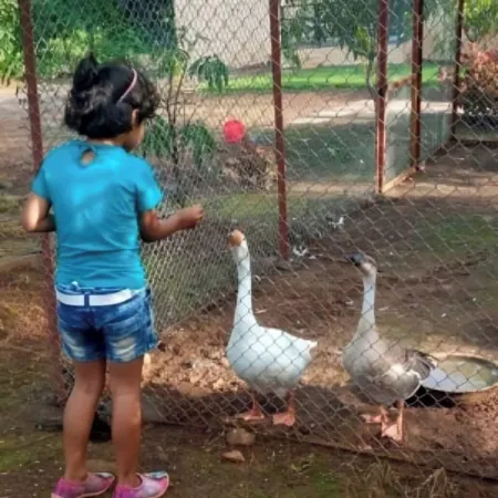 Bimal Farm Home Stay