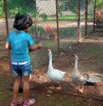Bimal Farm Home Stay Hotel a Alwand