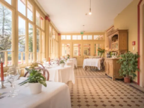 Historic Hotel Falken Hotels in Wengen