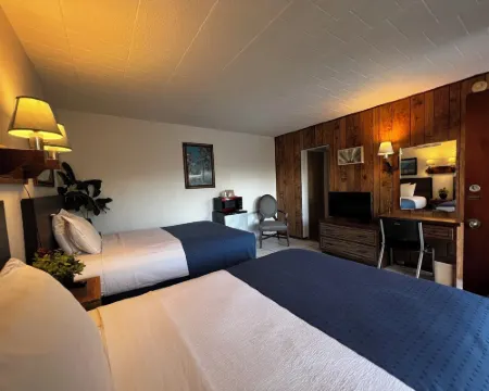 Nocturne Motel Hotels in New Smyrna Beach