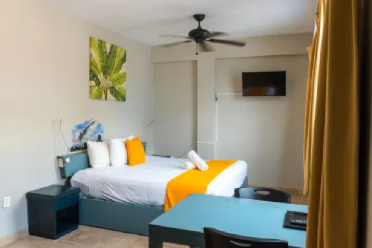 加勒比陽光公寓套房