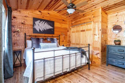 Check out Mossy Fern!! A Cozy Cabin in the Woods in Townsend, TN.