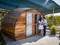 Viñedo Sotelo - Hospedaje y Glamping Hoteles en Ica