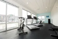 巢