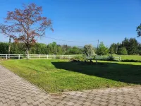 Cozy cottage in the forest