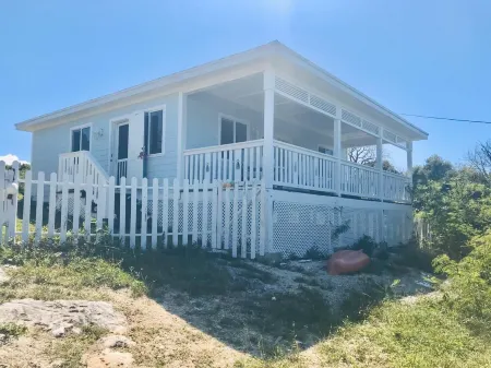 Pineapple Blues....Big Bang for your Buck