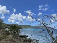 5 Nights Left in March  1 BR Oceanfront Condo Sleeps 4! Cane Bay! ST CROIX, USVI