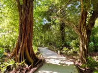 Luxury, Comfort, Security & Walk to the Beach to Enjoy the Best of Costa Rica