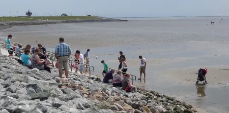 Holiday house with large garden, covered terrace, near the beach,