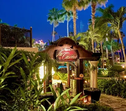 Ocean Front Cabo Luxury - LARGE 2/3 Villa  SWEEPING VIEWS @ Villa La Estancia