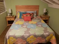 Quiet Caribbean getaway  호텔