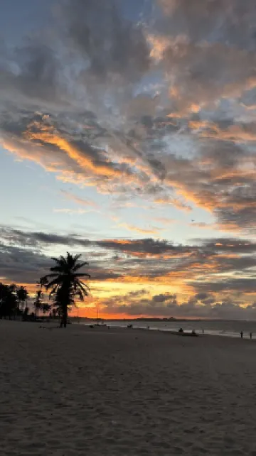 Eco Paradise - Hospedagem pé na Areia