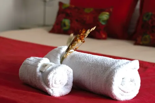 LUZ Malbec Hotels in Maipu