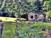 Zen Mountain Cabin: Forest-Bathing & Private Waterfall in Wine Country