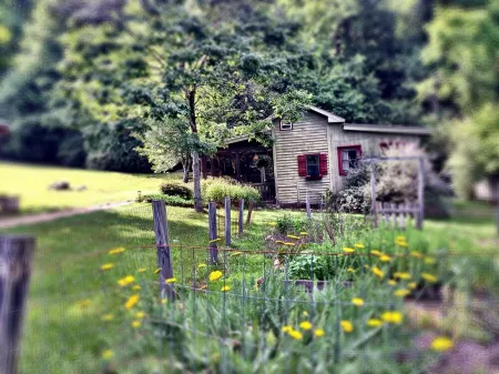 Zen Mountain Escape: Rivers, Nature, Wineries & Solitude